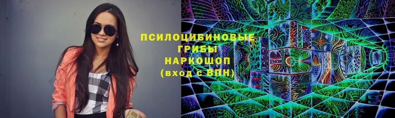 Галлюциногенные грибы MAGIC MUSHROOMS  купить наркоту  Бор 